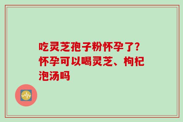 吃灵芝孢子粉怀孕了？怀孕可以喝灵芝、枸杞泡汤吗