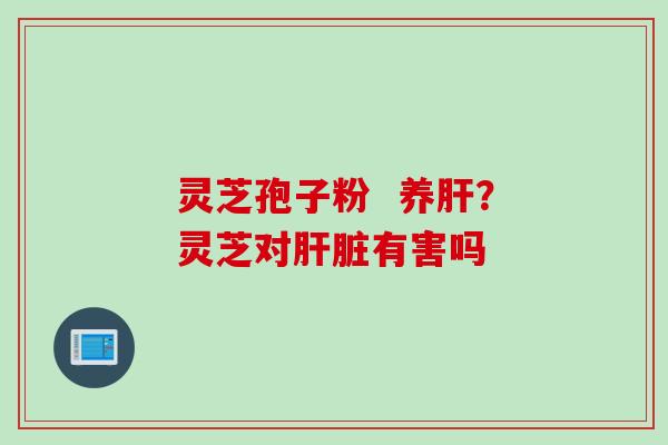 灵芝孢子粉  养肝？灵芝对肝脏有害吗