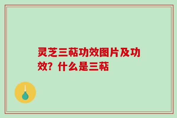 灵芝三萜功效图片及功效？什么是三萜