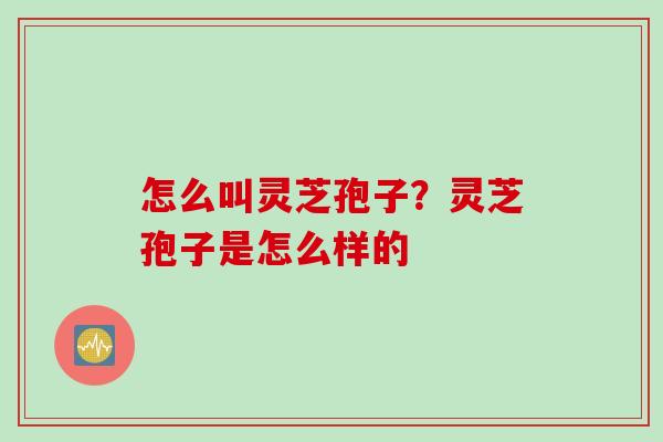 怎么叫灵芝孢子？灵芝孢子是怎么样的