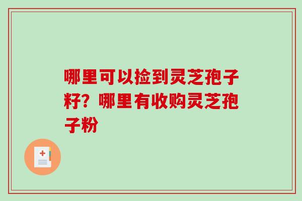 哪里可以捡到灵芝孢子籽？哪里有收购灵芝孢子粉