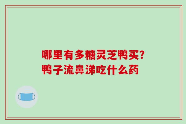 哪里有多糖灵芝鸭买？鸭子流鼻涕吃什么药