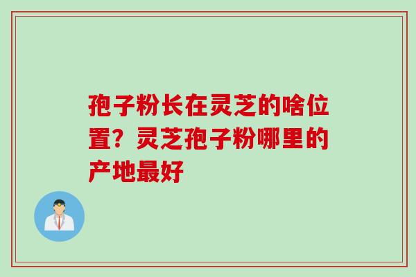 孢子粉长在灵芝的啥位置？灵芝孢子粉哪里的产地最好