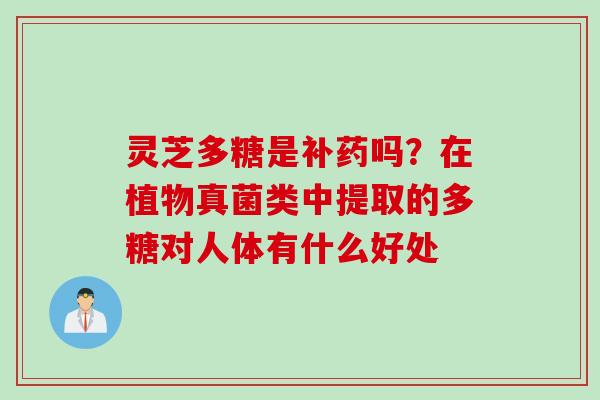 灵芝多糖是补药吗？在植物真菌类中提取的多糖对人体有什么好处
