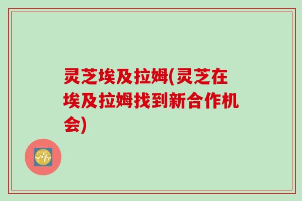 灵芝埃及拉姆(灵芝在埃及拉姆找到新合作机会)