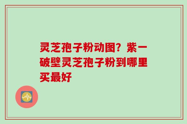 灵芝孢子粉动图？紫一破壁灵芝孢子粉到哪里买最好