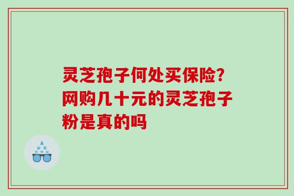 灵芝孢子何处买保险?网购几十元的灵芝孢子粉是真的吗 灵芝孢子何处买保险?网购几十元的灵芝孢子粉是真的吗