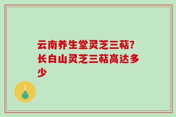 云南养生堂灵芝三萜？长白山灵芝三萜高达多少