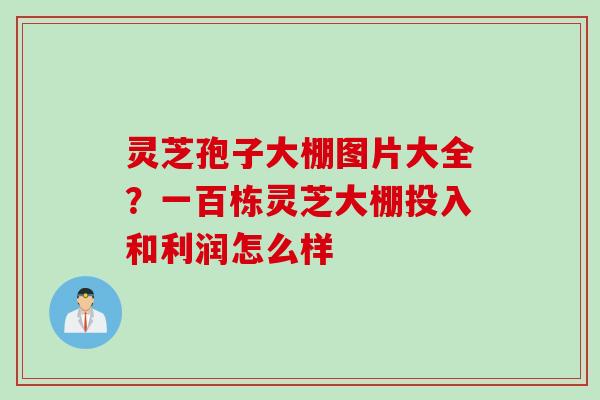 灵芝孢子大棚图片大全？一百栋灵芝大棚投入和利润怎么样