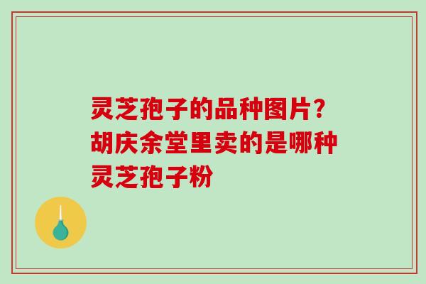 灵芝孢子的品种图片？胡庆余堂里卖的是哪种灵芝孢子粉