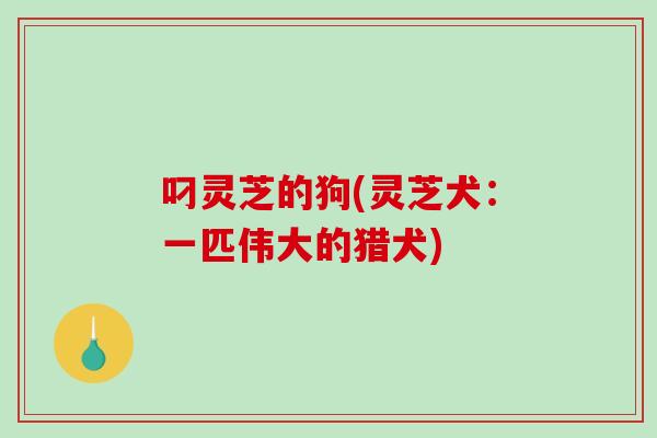 叼灵芝的狗(灵芝犬：一匹伟大的猎犬)
