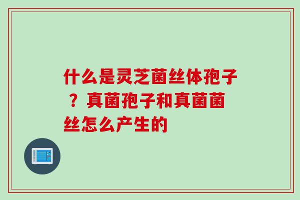什么是灵芝菌丝体孢子 ？真菌孢子和真菌菌丝怎么产生的