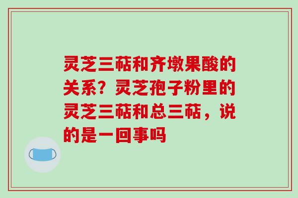 灵芝三萜和齐墩果酸的关系?灵芝孢子粉里的灵芝三萜和总三萜,说的是一回事吗 灵芝三萜和齐墩果酸的关系?灵芝孢子粉里的灵芝三萜和总三萜,说的是一回事吗