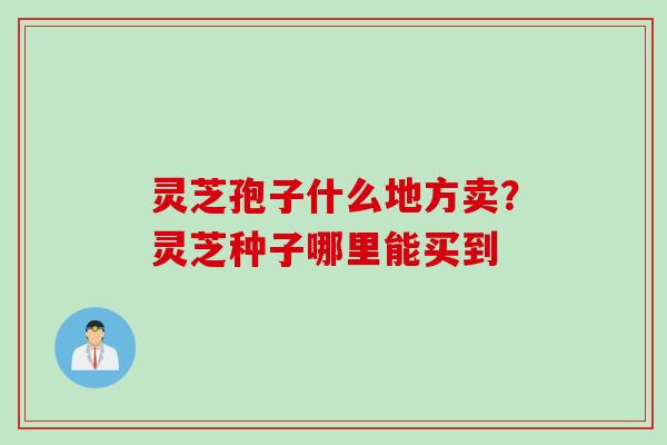 灵芝孢子什么地方卖?灵芝种子哪里能买到 灵芝孢子什么地方卖?灵芝种子哪里能买到