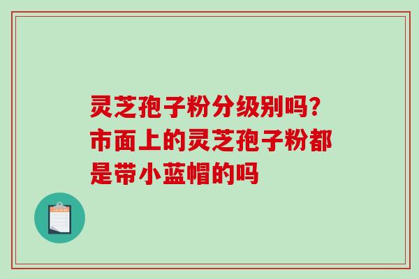 灵芝孢子粉分级别吗?市面上的灵芝孢子粉都是带小蓝帽的吗 灵芝孢子粉分级别吗?市面上的灵芝孢子粉都是带小蓝帽的吗