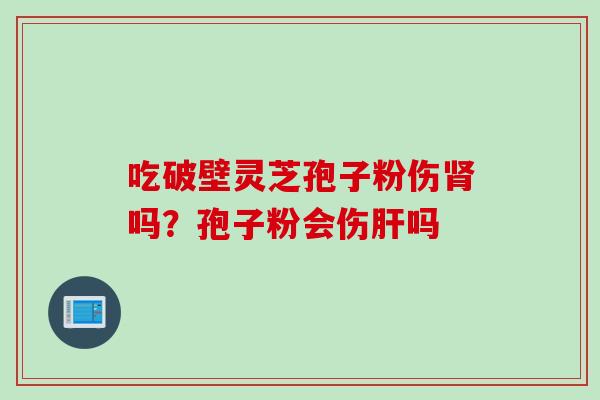 吃破壁灵芝孢子粉伤吗?孢子粉会伤吗 吃破壁灵芝孢子粉伤吗?孢子粉会伤吗