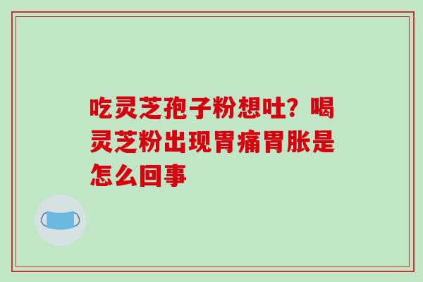 吃灵芝孢子粉想吐？喝灵芝粉出现胃痛胃胀是怎么回事