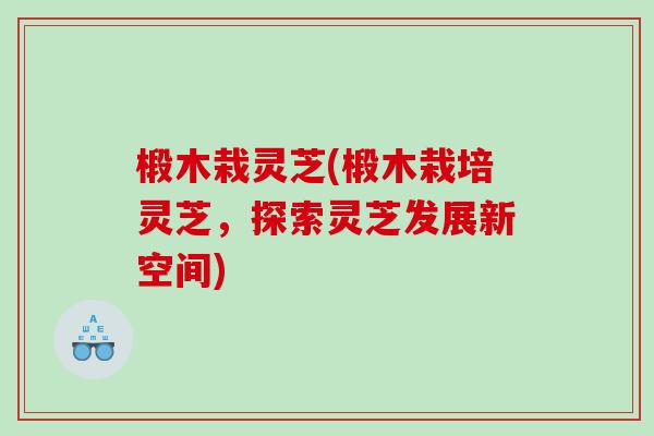 椴木栽灵芝(椴木栽培灵芝,探索灵芝发展新空间) 椴木栽灵芝(椴木栽培灵芝,探索灵芝发展新空间)