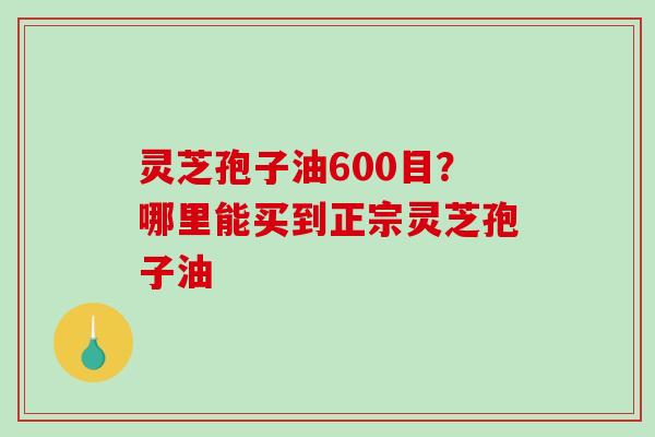 灵芝孢子油600目?哪里能买到正宗灵芝孢子油 灵芝孢子油600目?哪里能买到正宗灵芝孢子油
