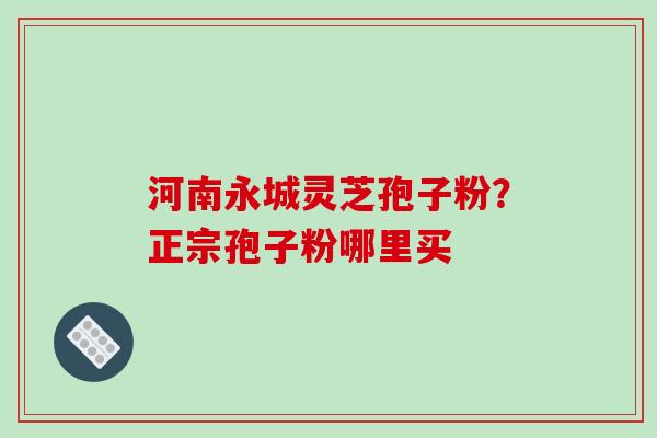 河南永城灵芝孢子粉?正宗孢子粉哪里买 河南永城灵芝孢子粉?正宗孢子粉哪里买