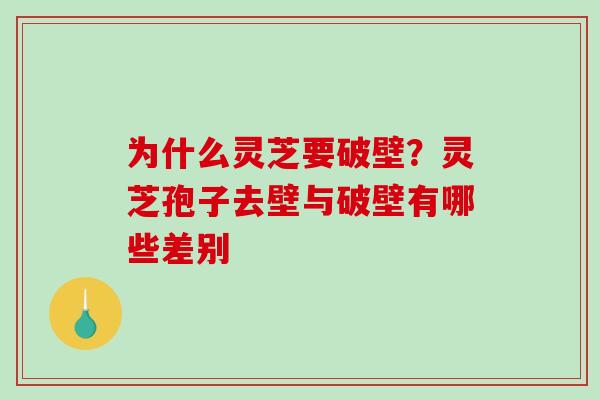 为什么灵芝要破壁？灵芝孢子去壁与破壁有哪些差别