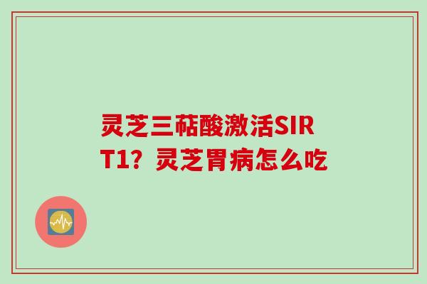 灵芝三萜酸激活SIRT1？灵芝胃病怎么吃