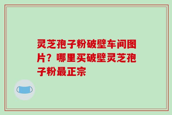 灵芝孢子粉破壁车间图片？哪里买破壁灵芝孢子粉最正宗