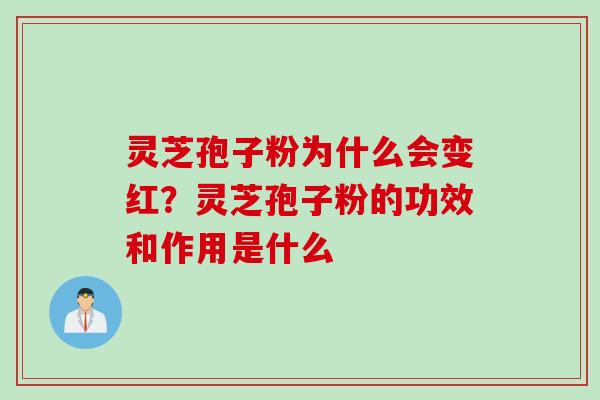 灵芝孢子粉为什么会变红？灵芝孢子粉的功效和作用是什么