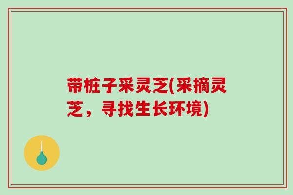 带桩子采灵芝(采摘灵芝，寻找生长环境)