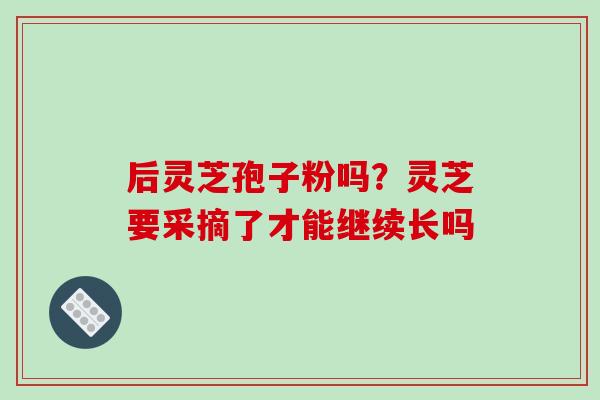 后灵芝孢子粉吗？灵芝要采摘了才能继续长吗