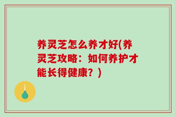 养灵芝怎么养才好(养灵芝攻略：如何养护才能长得健康？)