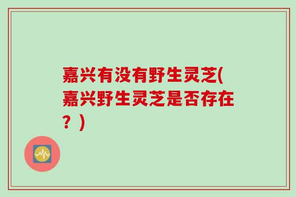 嘉兴有没有野生灵芝(嘉兴野生灵芝是否存在？)