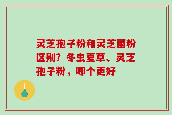 灵芝孢子粉和灵芝菌粉区别？冬虫夏草、灵芝孢子粉，哪个更好