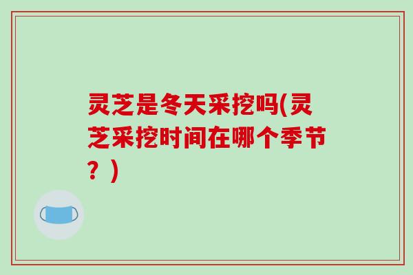 灵芝是冬天采挖吗(灵芝采挖时间在哪个季节？)