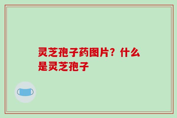 灵芝孢子药图片？什么是灵芝孢子