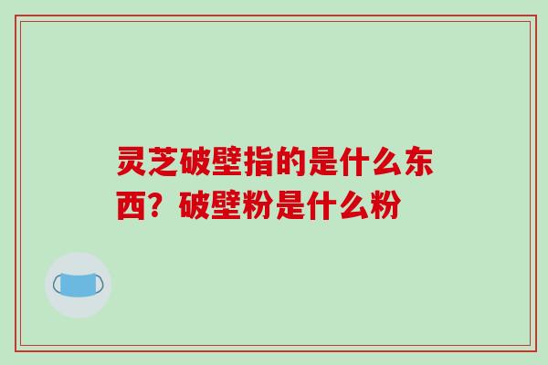 灵芝破壁指的是什么东西？破壁粉是什么粉