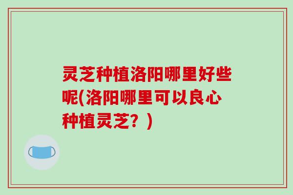 灵芝种植洛阳哪里好些呢(洛阳哪里可以良心种植灵芝？)