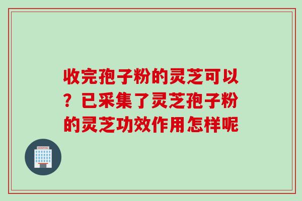 收完孢子粉的灵芝可以？已采集了灵芝孢子粉的灵芝功效作用怎样呢