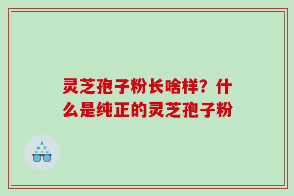 灵芝孢子粉长啥样？什么是纯正的灵芝孢子粉