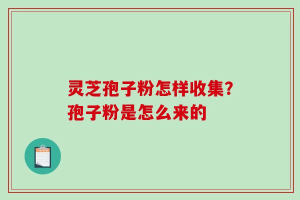 灵芝孢子粉怎样收集？孢子粉是怎么来的