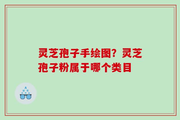 灵芝孢子手绘图？灵芝孢子粉属于哪个类目