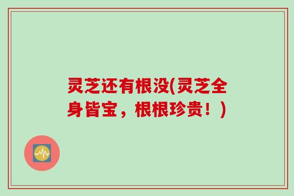 灵芝还有根没(灵芝全身皆宝，根根珍贵！)