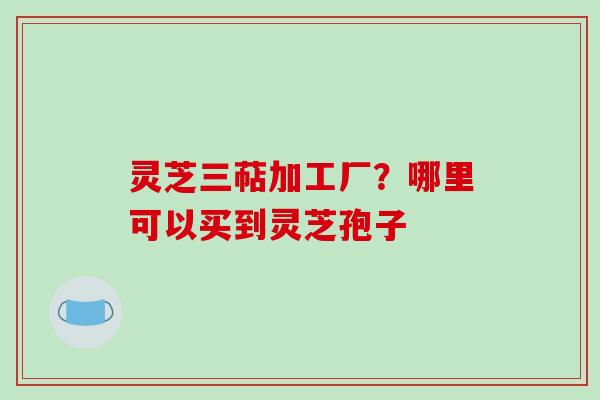 灵芝三萜加工厂?哪里可以买到灵芝孢子 灵芝三萜加工厂?哪里可以买到灵芝孢子
