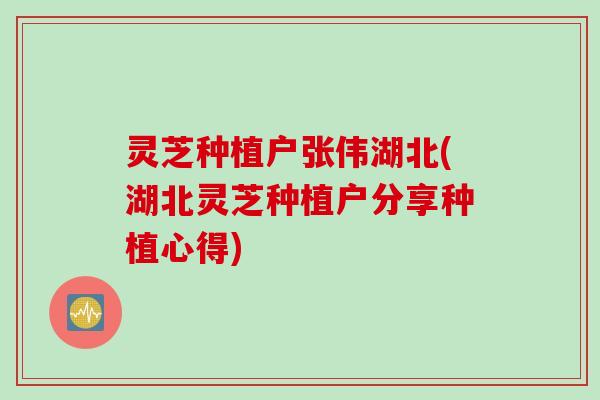 灵芝种植户张伟湖北(湖北灵芝种植户分享种植心得)