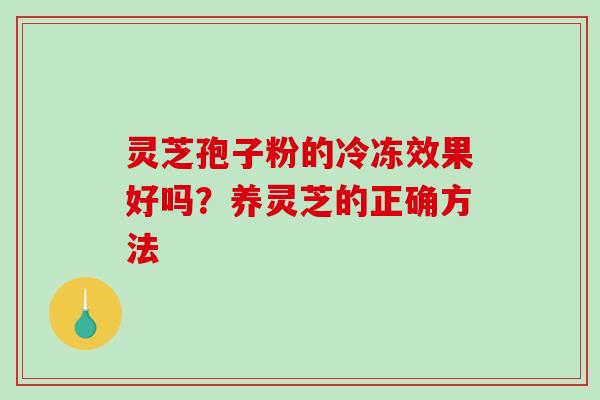 灵芝孢子粉的冷冻效果好吗？养灵芝的正确方法