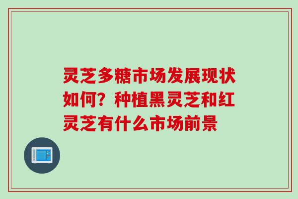 灵芝多糖市场发展现状如何？种植黑灵芝和红灵芝有什么市场前景