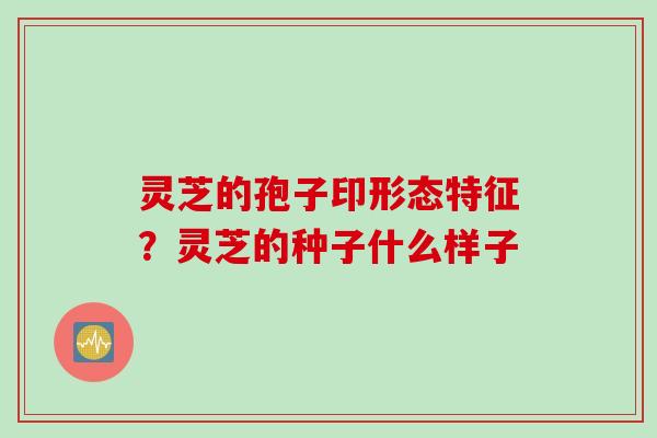 灵芝的孢子印形态特征？灵芝的种子什么样子