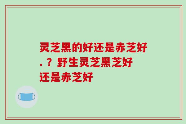 灵芝黑的好还是赤芝好. ？野生灵芝黑芝好还是赤芝好