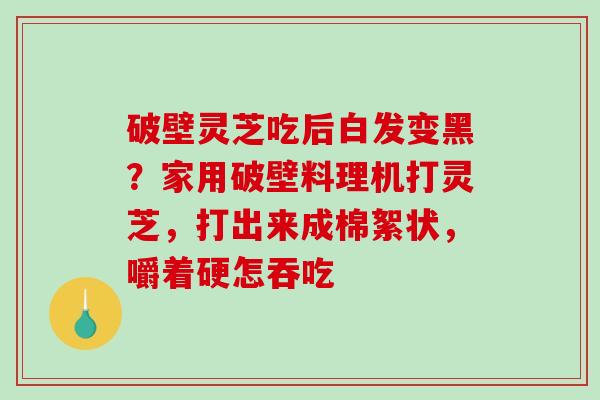 破壁灵芝吃后白发变黑？家用破壁料理机打灵芝，打出来成棉絮状，嚼着硬怎吞吃