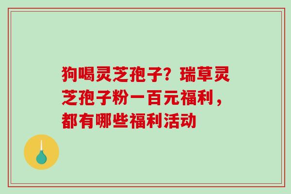 狗喝灵芝孢子？瑞草灵芝孢子粉一百元福利，都有哪些福利活动